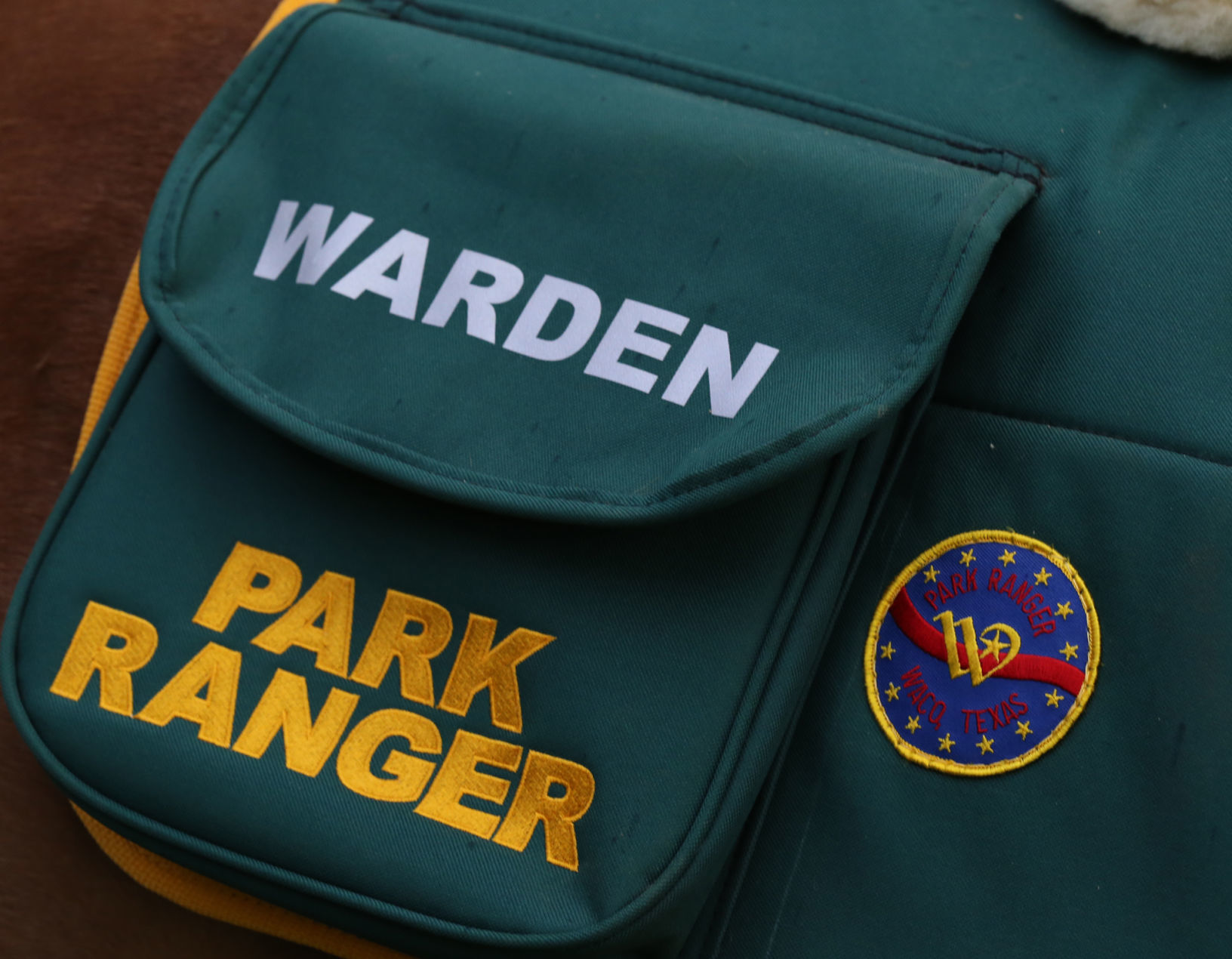 20190609_loc_parkhorses_ra4